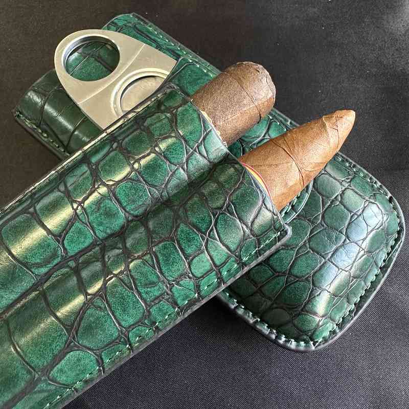 Cigar Tube 2 Slots Case with C - Travel Accessories Youtube review and price