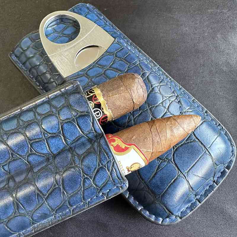 Cigar Tube 2 Slots Case with C - Travel Accessories Youtube review and price