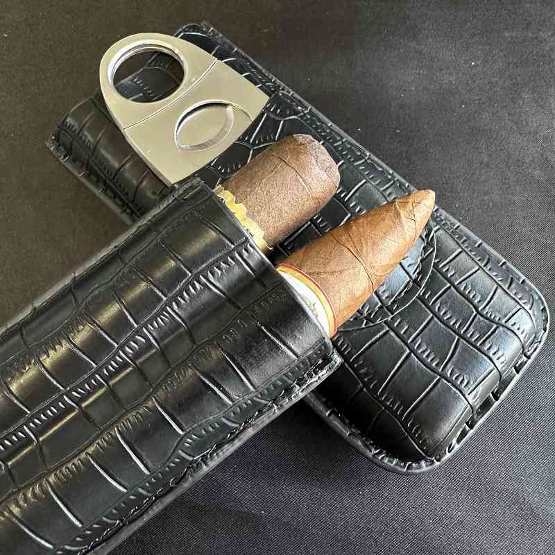 Cigar Tube 2 Slots Case with C - Travel Accessories Youtube review and price